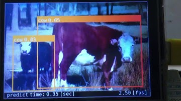 Object Detection with Raspberry Pi 4 using ONNX Runtime without GPU acceleration