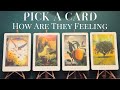 😘🫣How Are They Feeling❤️🌹PICK A CARD Tarot Reading #tarot #tarotreading #pickacard #healing #love