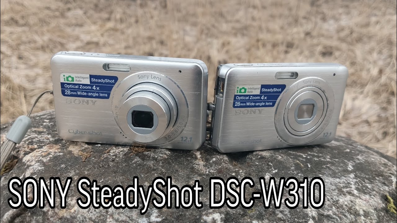 Обзор фотоаппарата SONY SteadyShot DSC-W310