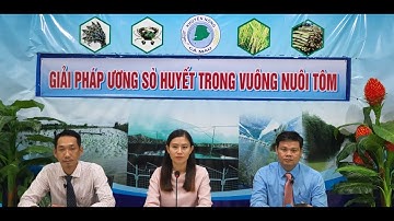 GIẢI PHÁP ƯƠNG SÒ HUYẾT TRONG VUÔNG NUÔI TÔM