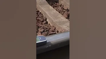 Train Vs Nokia 3310 
