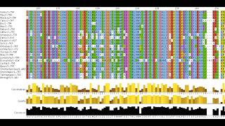 SRIAB: Day 10 | Multiple Sequence Alignment using Clustal Omega &amp; MUSCLE