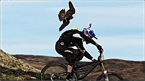 MAN AND BEAST - Part 34