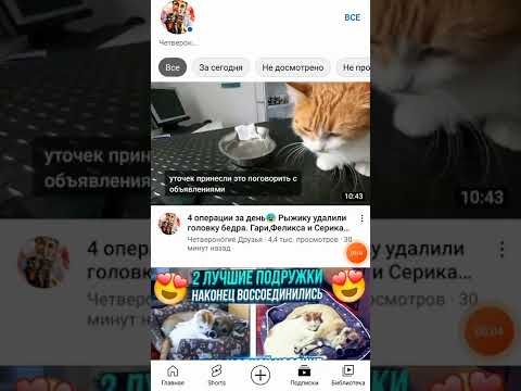 вышло новое видео