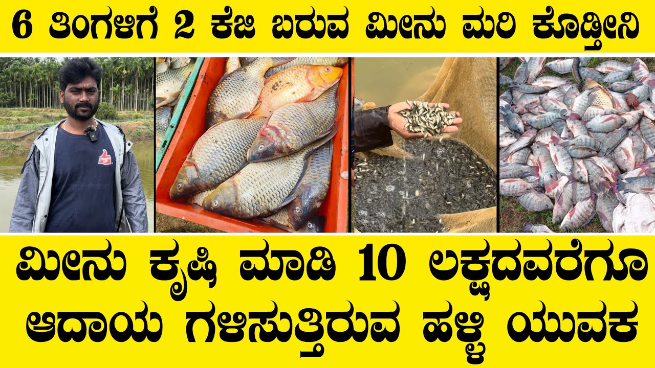 Call 7760409757 ಮೀನು ಕೃಷಿ ಮಾಡಿ 10 ಲಕ್ಷದವರೆಗೂ ಆದಾಯ ಗಳಿಸುತ್ತಿರುವ ಹಳ್ಳಿ ಯುವಕ||fish farming profits