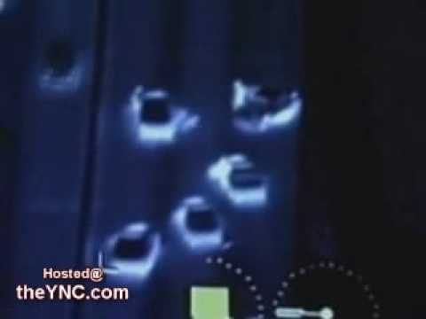 Police Dog falls 200 Feet to his Death   The YNC.com.flv