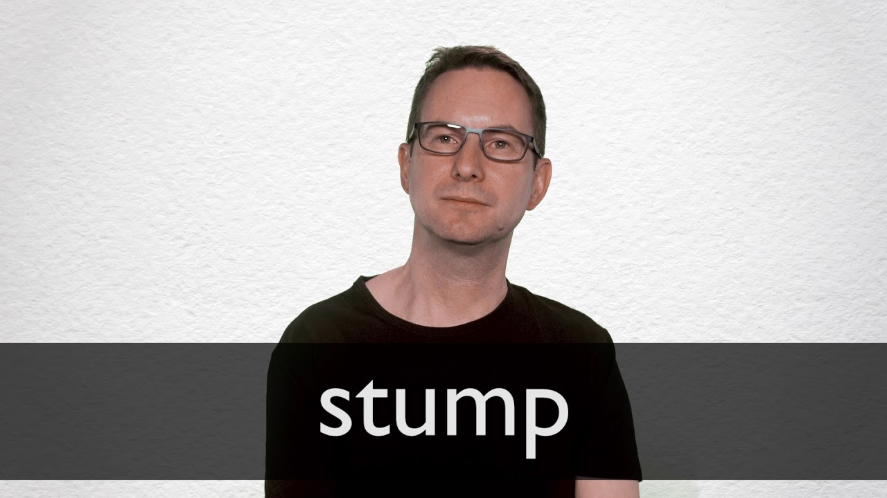 stump speech english meaning