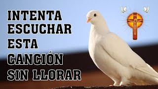 MUSICA CRISTIANA DE ADORACION Y ALABANZA - HERMOSAS ALABANZAS CRISTIANAS DE ADORACION 2024