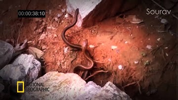 Digital Audio and Video Assignment group3- Lincoln University College