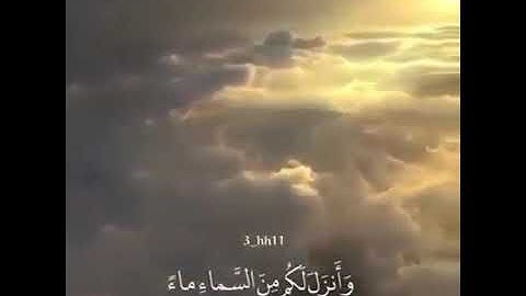 ارح سمعك وطهر قلبك مع القارئ معاذ العيد 💖😍