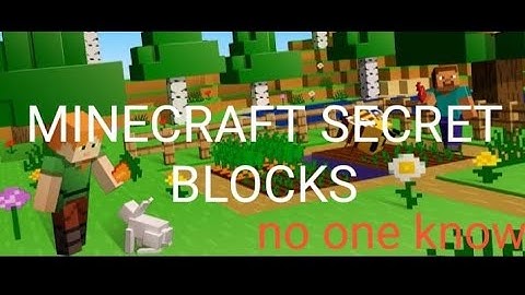 minecraft all secret blocks reveal| all secret blocks in minecraft| some you might knows|