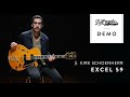 Video: D'ANGELICO EXCEL 59 HOLLOW BODY w/BIGSBY - BLACK DOG