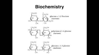 Basic Science Week 7 B 1