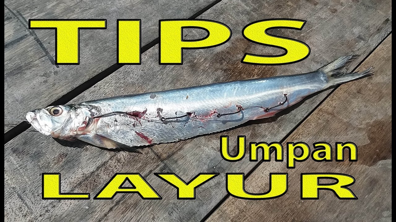 TIPS Rangkaian Umpan Ikan Layur - Golok-golok ( Gang Hooks bait