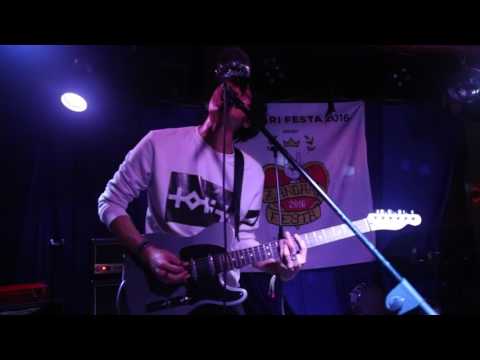 전국비둘기연합 National Pigeon Unity Stargazer 클럽 타 잔다리페스타 20161002