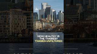 How Healthy is the Thames? | Thames Unfiltered