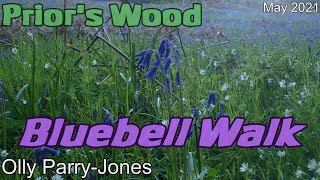 Priors Wood Bluebell Walk