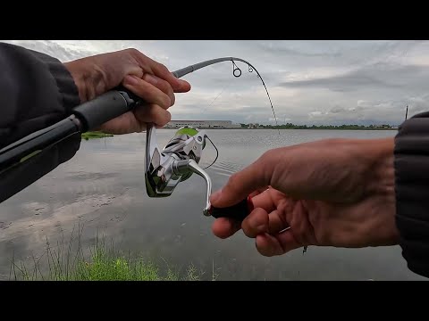 თევზაობა ფოთში დიდ ტბაზე აკტიურ წერზე 🎣 ნაწვიმარზე ☁️🌧 შედეგიანი გასვლა. ღრუბლიანი ამინდი ამართლებს.