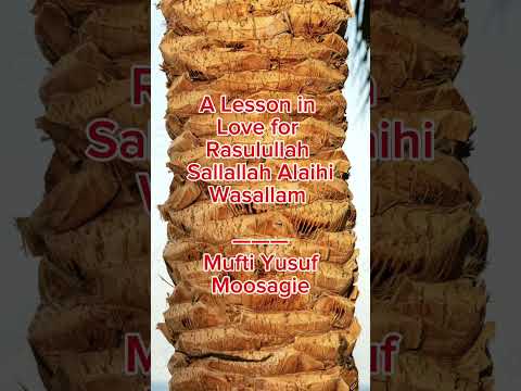 A Lesson In Love For Rasulullah Sallallahu Alaihi Wasallam