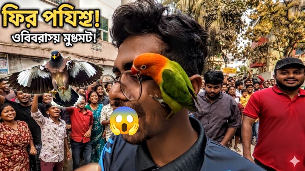 ভাইয়া টা ভালো মনের মানুষ না হলে ম্যাংগো কে ফিরে পেতাম না 😱🐦