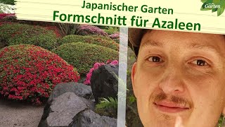 Azalee und kirschblüte: die pflege des japanischen gartens im egapark erfurt | mdr