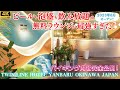 【沖縄で希少なメゾネットルーム】沖縄本島最高峰の無料ラウンジ！お酒を片手にビリヤードやダーツ♪三線ライブ開催の夕食バイキングも！サンコーストオーシャンコーナースイート【ツインラインホテルやんばる沖縄】