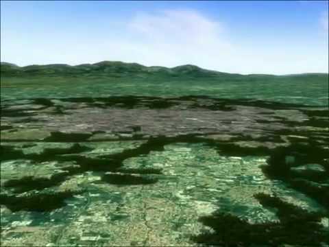 ვერტიკალური ტყე მილანში