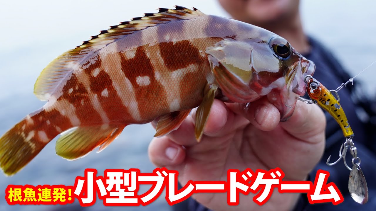 Catching rockfish one after another!] Small blade game - Follow-up