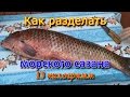 Как разделать сазана на 13 кг