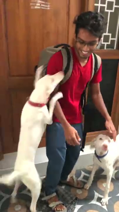 COMING HOME 🏠 AFTER A LONG TIME 🥺🥰 | VelBros #shorts