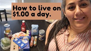 How to live on $1.00 a day.