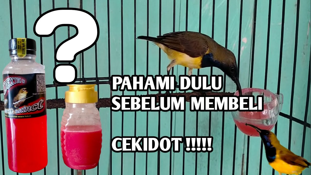 Review DEXTRO87 #sogon #sogonbahan #dextro87 #sogokotong