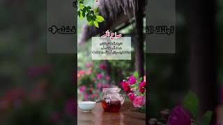 صباح الخير /video 01 ❤️