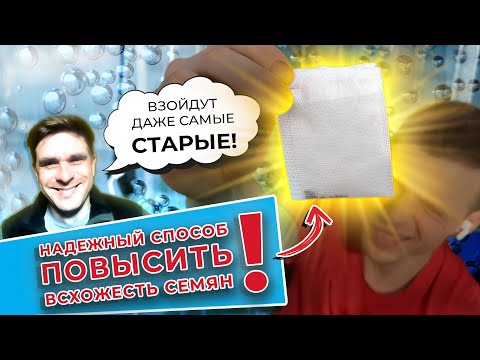 Надежный способ повысить всхожесть семян Всходы уже через 3 дня. Взойдут даже самые старые!