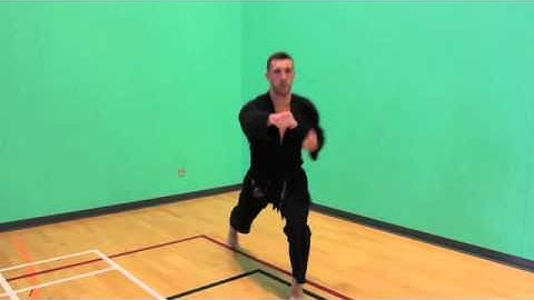 leading snap punch, reverse punch on the spot, half step snap kick