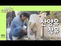 역전의부자농부 272회 산양유 착유 역전의부자농부 272회 산양유 착유