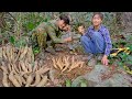 Starch food sources are harvested from forest tubers, making cakes from forest tubers -Building Life