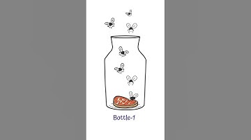 Francesco Redi’s Experiment | Spontaneous Generation #microbiology #microbiologyclass