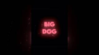 Pitbull Terrier Big Dog Make You Scream