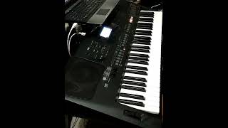 Video voorbeeld van "Rammstein - Dicke Titten Keyboard Cover"