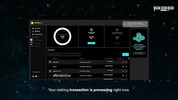 Namada (NAM) Staking Guide with P2P.org