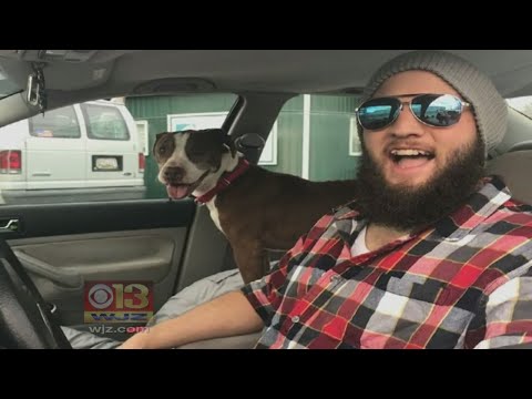 Md. Man Volunteers To Roadtrip To Kansas To Return Abandoned Dog To Family