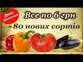 РОЗПРОДАЖ 2022 + 80 НОВИХ СОРТІВ