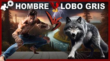 ¿Es posible luchar contra un lobo?