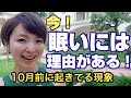 今とっても眠いあなたは すごい変化の時ですよ✨✨ おめでとうございます^_^