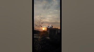 سورة الشمس ماهر المعيقلي