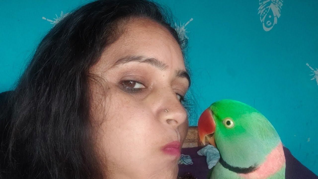 welcome to my live youtube family 🙃🙃🙃🙃