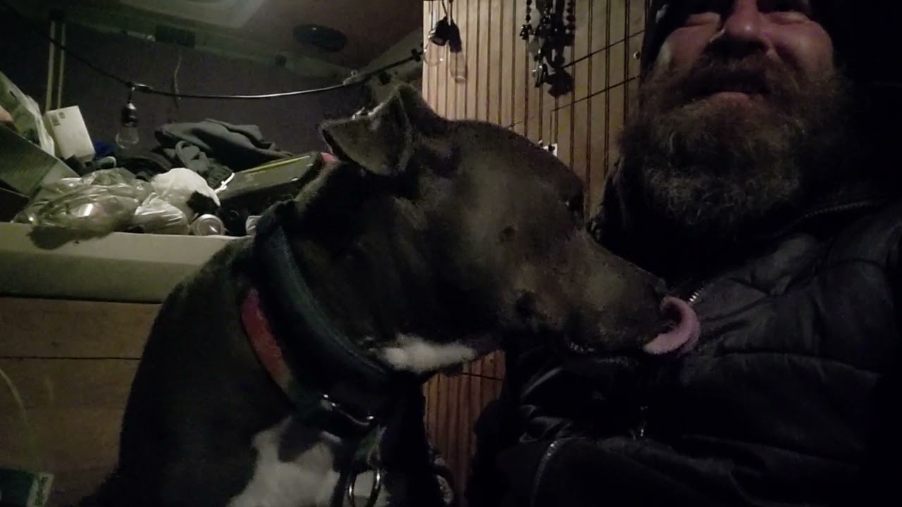 ADB: Play With Your Dog 