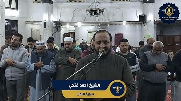 سورة النمل كاملة - ترتيل رائع للشيخ أحمد فتحي جامع - صلاة القيام رمضان 1445 هـ  - Surah Al Naml
