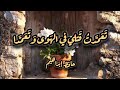 تَعَمَّدتُ قَتلي في الهَوى وَتَعَمَّدا | حافظ إبراهيم | أداء: أنس بوزيڨة